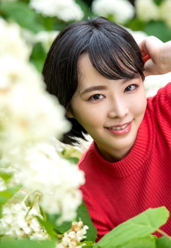 三宫椿（三宮つばき）