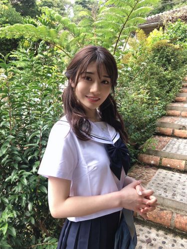 河北彩花