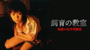 笹矢ちな