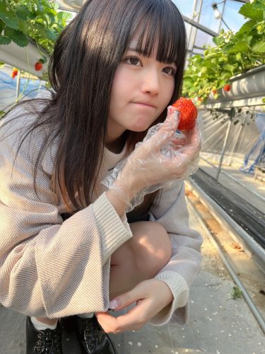 橘さくら