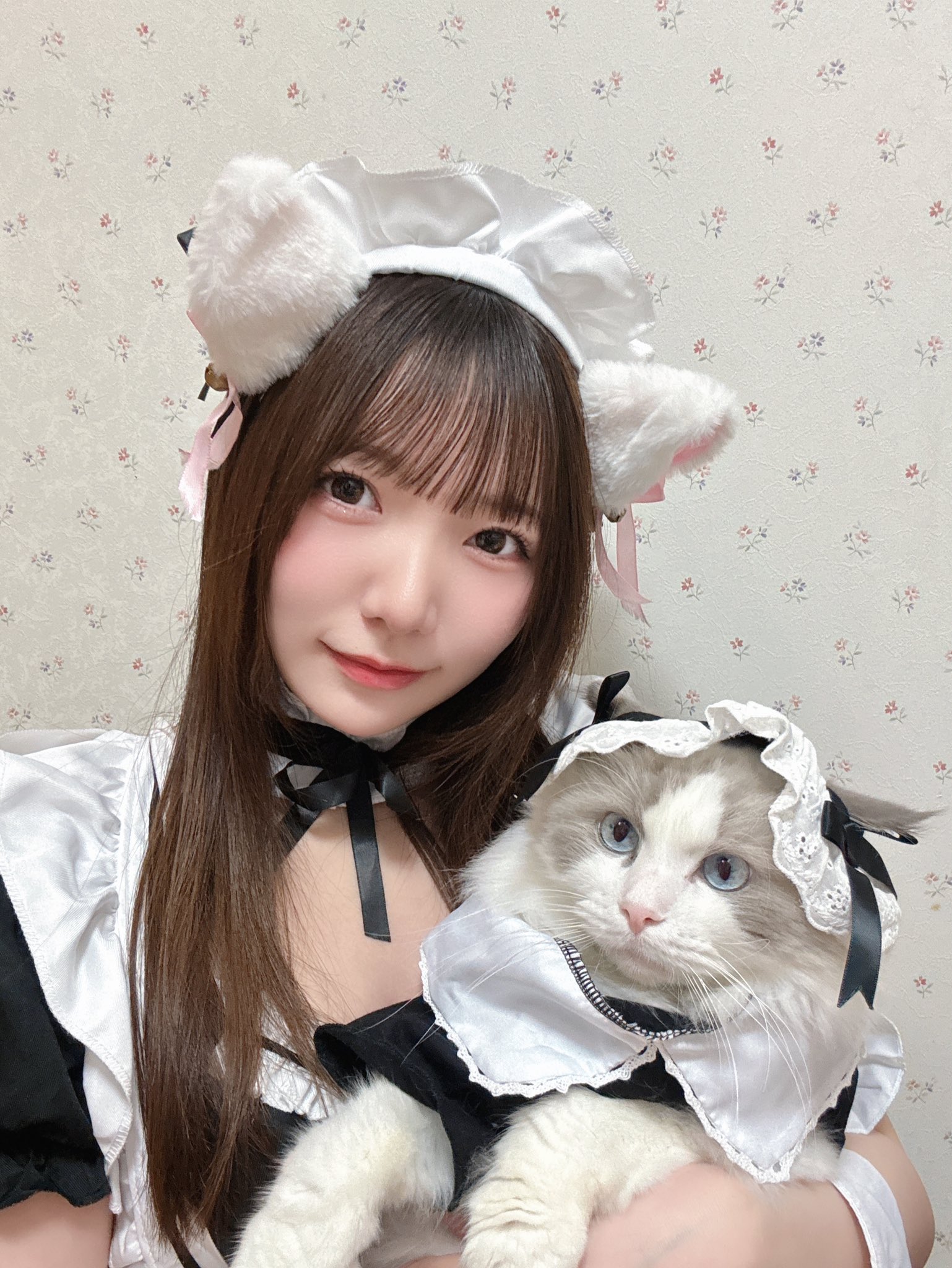 白石かんな 白石かんな