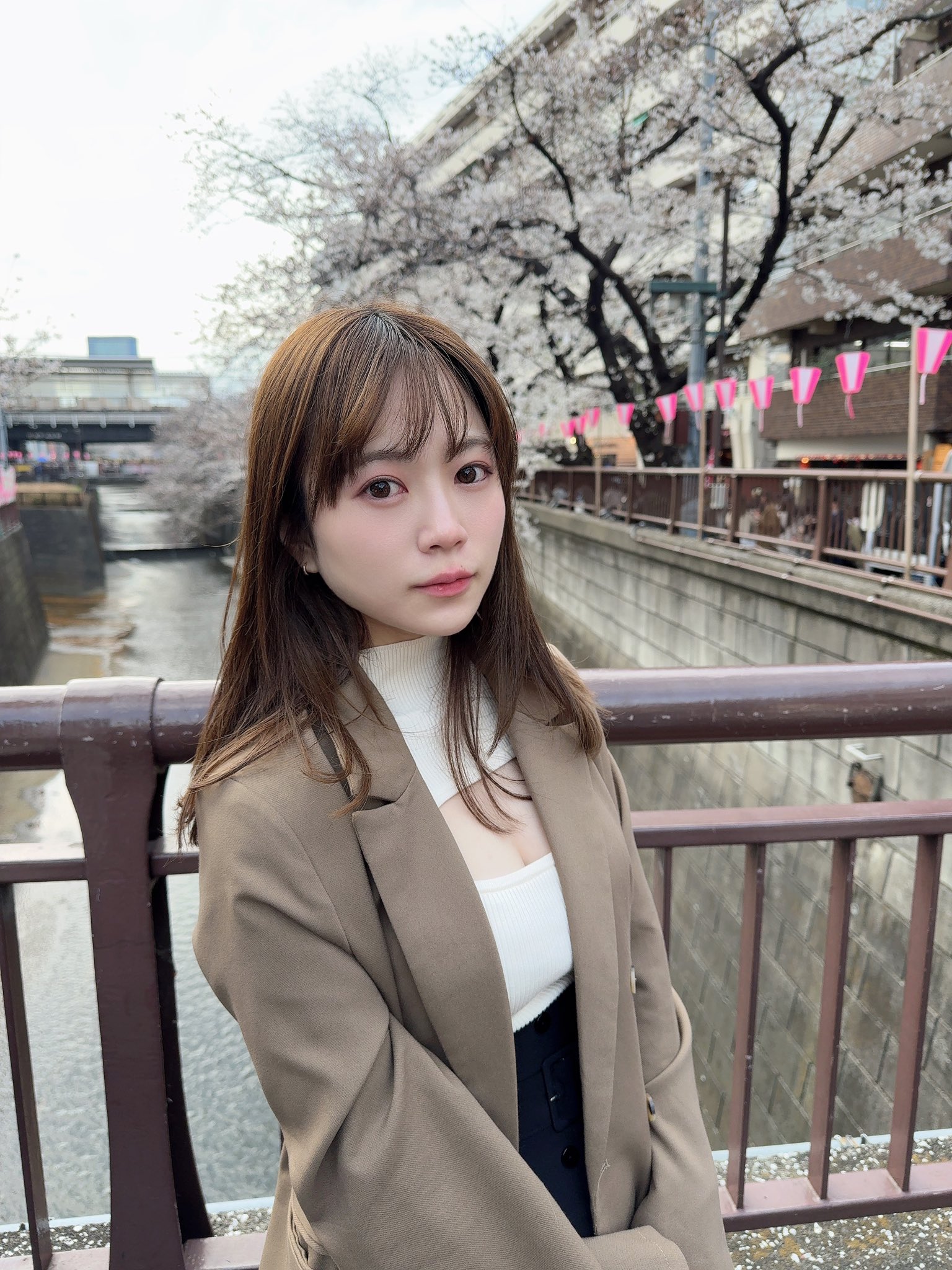 天宮花南