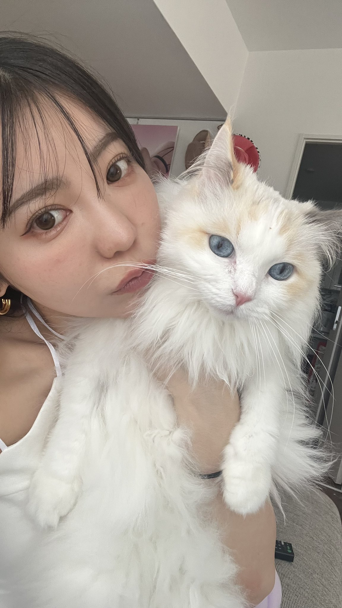 吉澤友貴 吉澤友貴