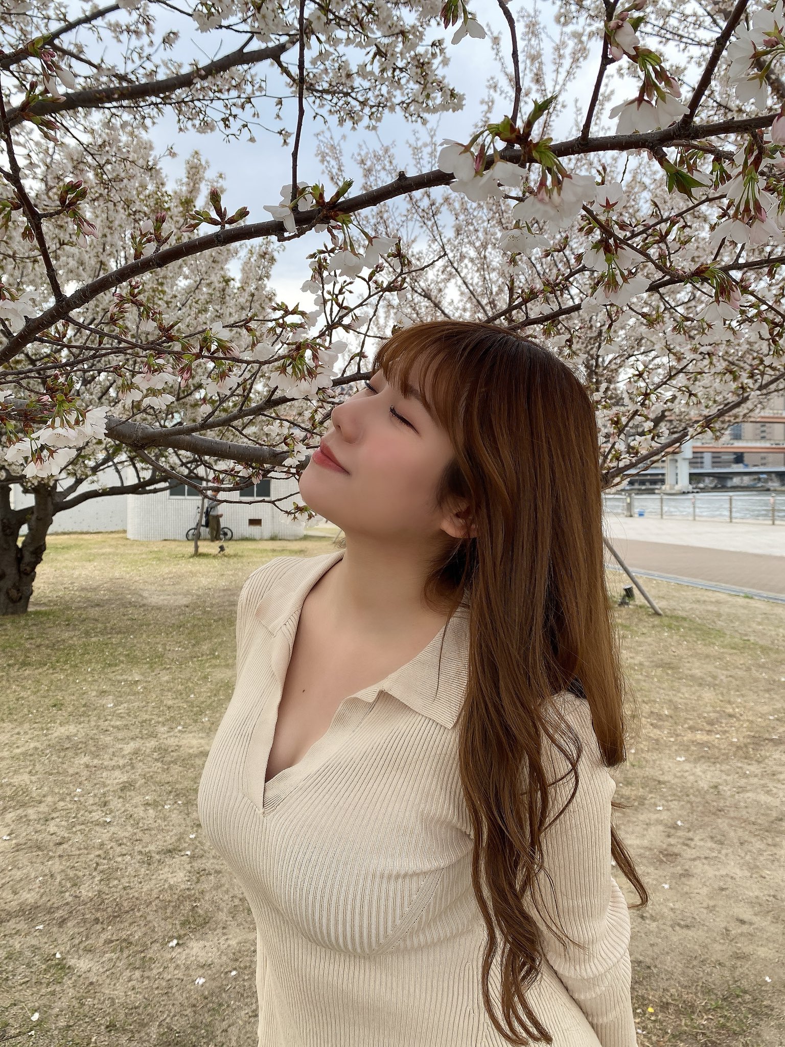 石田优美 石田优美