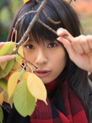 春菜花(春菜はな，HarunaHana)