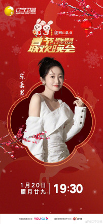 辽宁卫视春晚