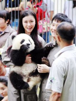 左一为巩新亮认养大熊猫
