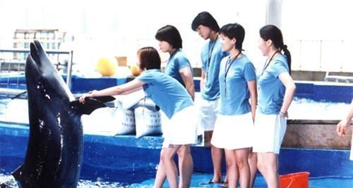 2001《海洋馆的约会》 饰演：麦琪云