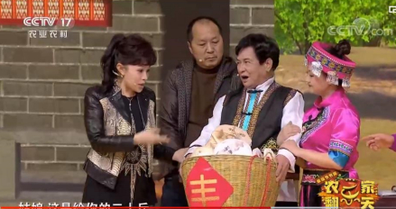 CCTV-17《农家乐翻天》