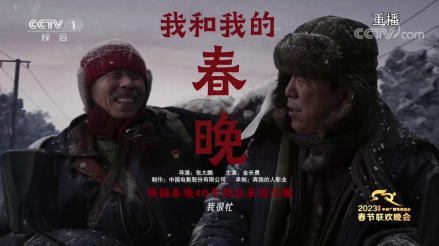 我和我的春晚