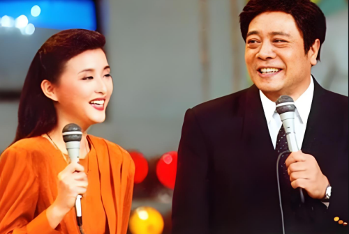 赵忠祥（右）、杨澜（左）