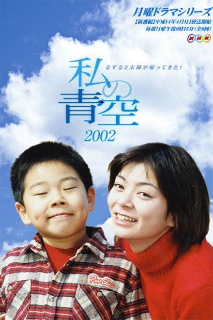 《小妈妈的天空》海报