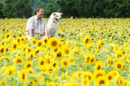 西田敏行在《星守之犬》的剧照